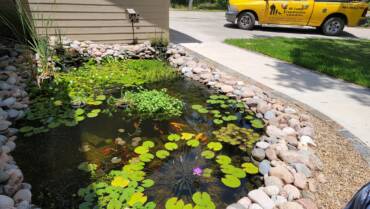 Water Features & Koi Pond in Commerce